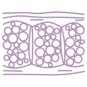 COLAGENO-CELULITIS-ICONO